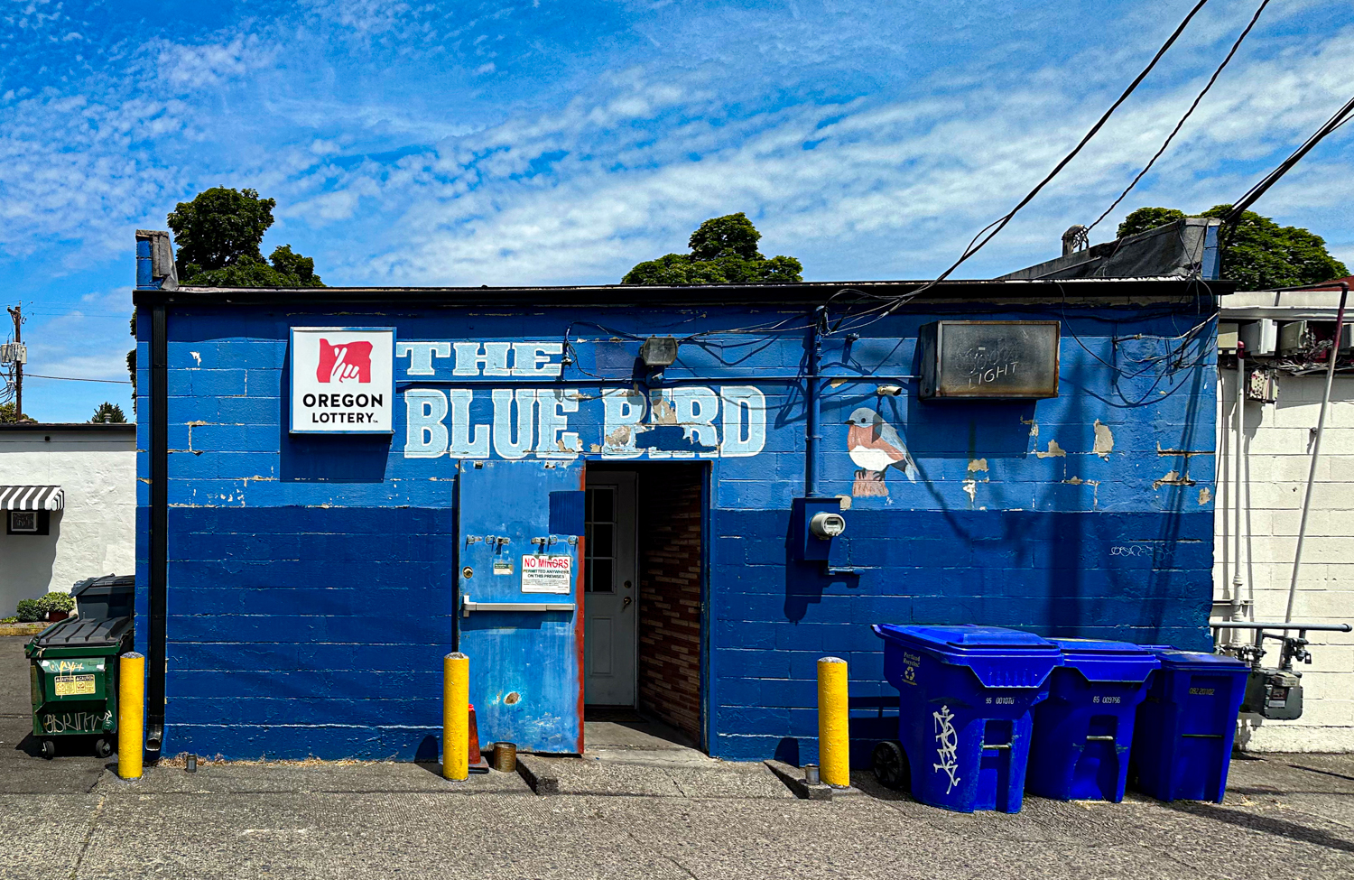 Bluebird Tavern Back